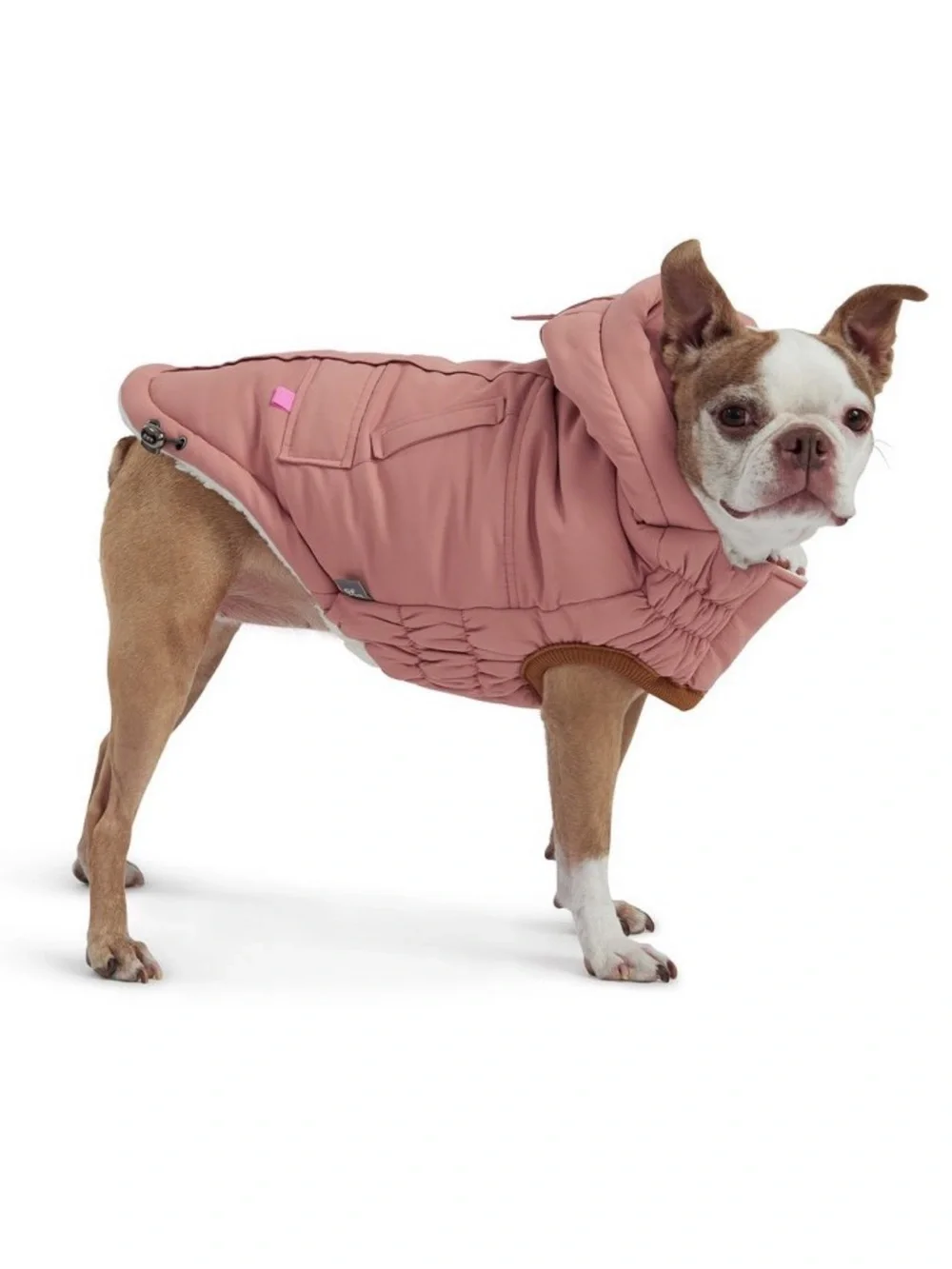 NWT GF Pets Arctic Parka - Clay XL